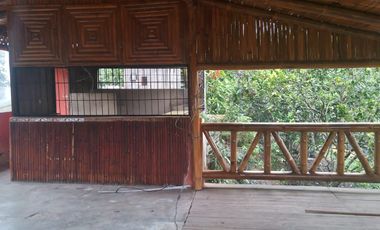 Vendo  Finca de  3.5 Hectáreas en Puerto Quito