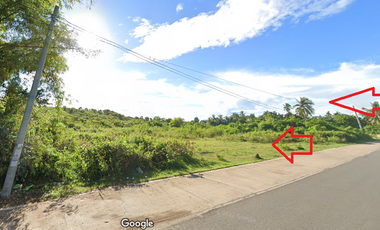 Titled agricultural land along national road as cheap as Php2500/SQM