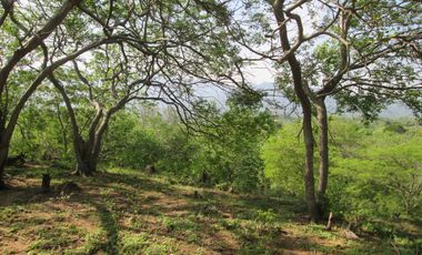 TERRENO GANGA DE 1000 MTS2 EN BONDA SANTA MARTA.