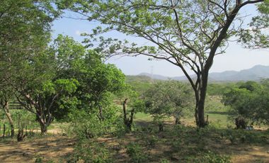 TERRENO GANGA DE 1000 MTS2 EN BONDA SANTA MARTA.