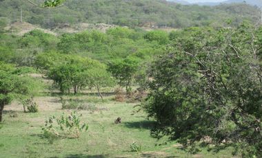 TERRENO GANGA DE 1000 MTS2 EN BONDA SANTA MARTA.