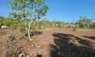 Dijual Tanah Kavling di area Kutuh, Kuta Selatan