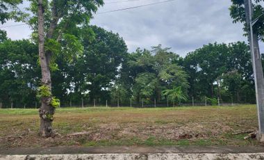 Southwoods Residential Lot For Sale Inside Manila Southwoods Near The Golf & Country Club