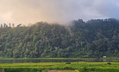 Lakeside Luxury situated next to Bali Handara Golf: Experience Absolute Tranquility at Gatsby on Buyan, Bali
