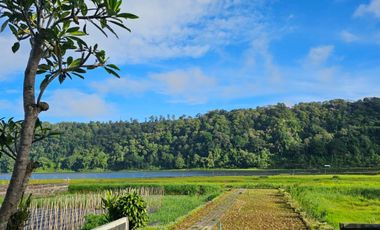 Lakeside Luxury situated next to Bali Handara Golf: Experience Absolute Tranquility at Gatsby on Buyan, Bali
