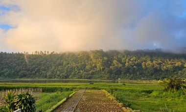 Lakeside Luxury situated next to Bali Handara Golf: Experience Absolute Tranquility at Gatsby on Buyan, Bali