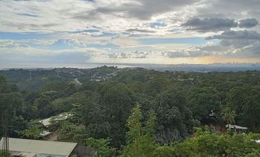 Your Perfect Antipolo Home Awaits: Deluxe 4-Bedroom w/4-T&B 2-Car Garage 3-Storey Townhouse with Scenic Laguna de Bay & QC Views! Only 30K To Reserve!