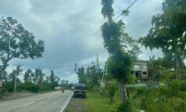 Tomas Oppus, Southern Leyte Highway Lot For Sale in Tinago