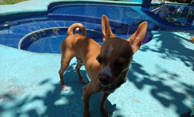 CASA DOS CABALLOS DISPONIBLE PARA SEMANA SANTA