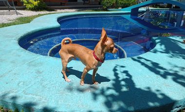 CASA DOS CABALLOS DISPONIBLE PARA SEMANA SANTA