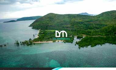 For Sale: 13.2 Hectares Beachfront Property in Busuanga, Palawan