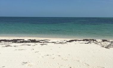 Terreno Frente de Playa en Cabo Catoche, Holbox, Quintana Roo