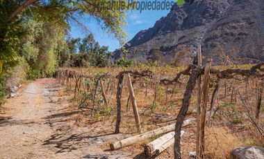 Venta de Parcelas planas y semi planas en Rivadavia, Valle del Elqui. 5.000 m2. $57 millones
