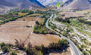 Venta de Parcelas planas y semi planas en Rivadavia, Valle del Elqui. 5.000 m2. $57 millones