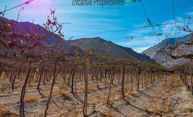 Venta de Parcelas planas y semi planas en Rivadavia, Valle del Elqui. 5.000 m2. $57 millones