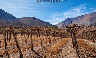 Venta de Parcelas planas y semi planas en Rivadavia, Valle del Elqui. 5.000 m2. $57 millones