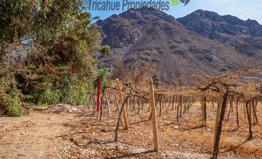 Venta de Parcelas planas y semi planas en Rivadavia, Valle del Elqui. 5.000 m2. $57 millones