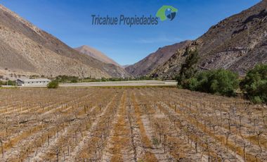 Venta de Parcelas planas y semi planas en Rivadavia, Valle del Elqui. 5.000 m2. $57 millones