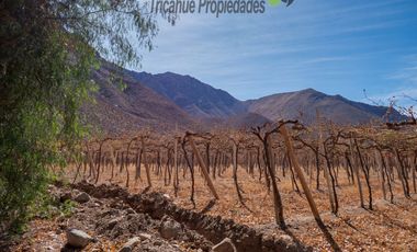 Venta de Parcelas planas y semi planas en Rivadavia, Valle del Elqui. 5.000 m2. $57 millones