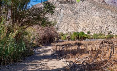 Venta de Parcelas planas y semi planas en Rivadavia, Valle del Elqui. 5.000 m2. $57 millones