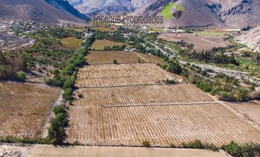 Venta de Parcelas planas y semi planas en Rivadavia, Valle del Elqui. 5.000 m2. $57 millones