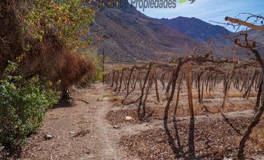 Venta de Parcelas planas y semi planas en Rivadavia, Valle del Elqui. 5.000 m2. $57 millones