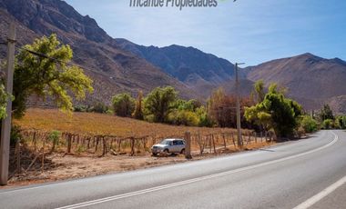 Venta de Parcelas planas y semi planas en Rivadavia, Valle del Elqui. 5.000 m2. $57 millones
