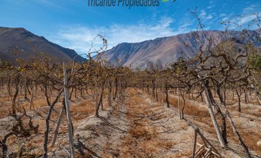 Venta de Parcelas planas y semi planas en Rivadavia, Valle del Elqui. 5.000 m2. $57 millones