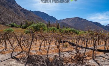 Venta de Parcelas planas y semi planas en Rivadavia, Valle del Elqui. 5.000 m2. $57 millones
