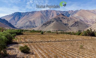 Venta de Parcelas planas y semi planas en Rivadavia, Valle del Elqui. 5.000 m2. $57 millones