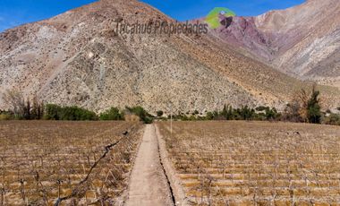 Venta de Parcelas planas y semi planas en Rivadavia, Valle del Elqui. 5.000 m2. $57 millones