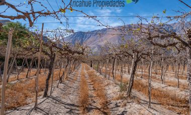 Venta de Parcelas planas y semi planas en Rivadavia, Valle del Elqui. 5.000 m2. $57 millones