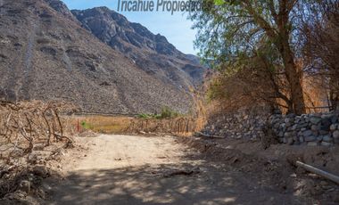 Venta de Parcelas planas y semi planas en Rivadavia, Valle del Elqui. 5.000 m2. $57 millones