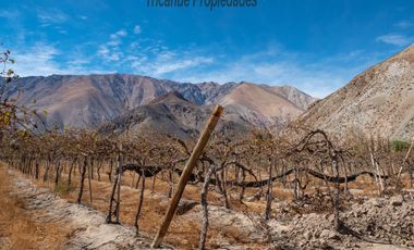 Venta de Parcelas planas y semi planas en Rivadavia, Valle del Elqui. 5.000 m2. $57 millones