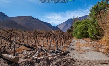 Venta de Parcelas planas y semi planas en Rivadavia, Valle del Elqui. 5.000 m2. $57 millones