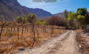 Venta de Parcelas planas y semi planas en Rivadavia, Valle del Elqui. 5.000 m2. $57 millones