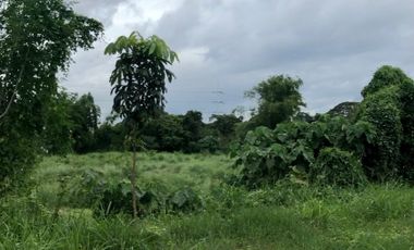 For Sale Big Land for Residential Development Caloocan Sta Quiteria