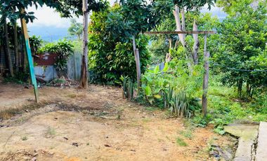 Gran Local comercial con casa en Lamas