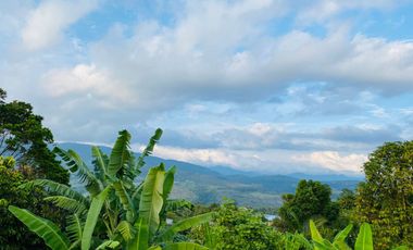 Gran Local comercial con casa en Lamas