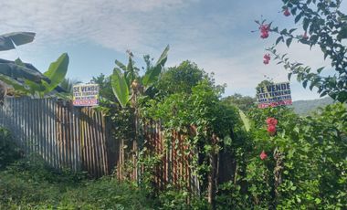 Gran Local comercial con casa en Lamas