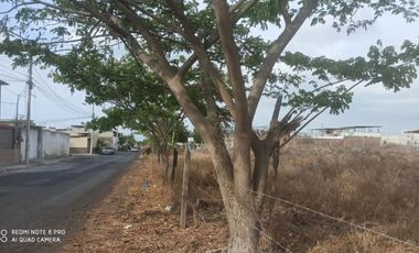 terreno en venta las orquideas Manta zona norte