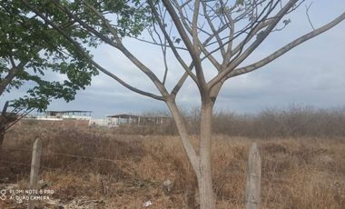 terreno en venta las orquideas Manta zona norte