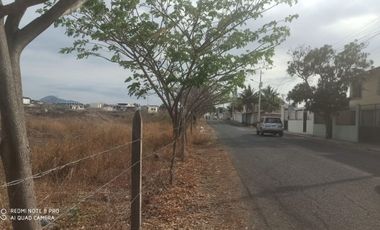 terreno en venta las orquideas Manta zona norte