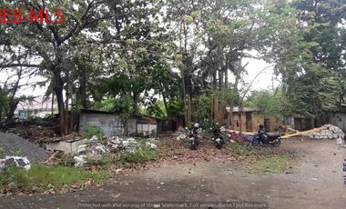 Commercial Lot for Sale in Maribago