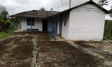 Venta Finca Agrícola y Ganadera San Roque Antioquia