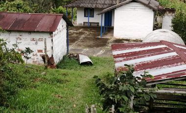 Venta Finca Agrícola y Ganadera San Roque Antioquia