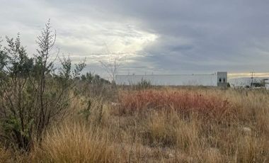 TERRENO NUEVA GALICIA USO DE SUELO MIXTO