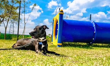 DEPA CON ALBERCA Y CANCHA DE PADEL EN VENTA AL SUR DE CUERNAVACA