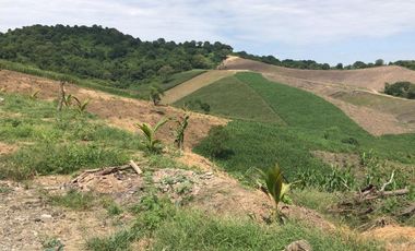 Venta Hacienda Agrícola en Portoviejo Manabí 32 ha - F27
