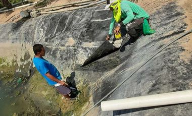 Venta Hacienda Agrícola en Portoviejo Manabí 32 ha - F27